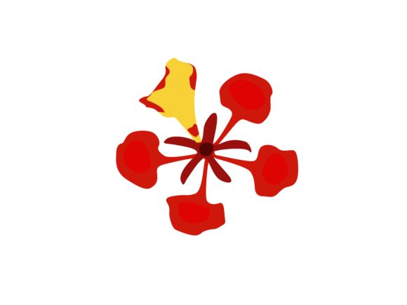 Download Flamboyant Flower - Flamboyant Collection